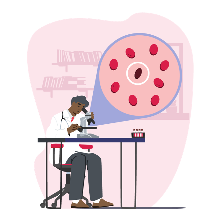 Image of male doctor examining blood cells, with a zoomed in section of the blood cells 