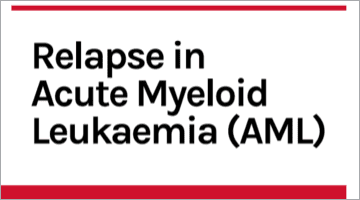 Screenshot of informative brochure 